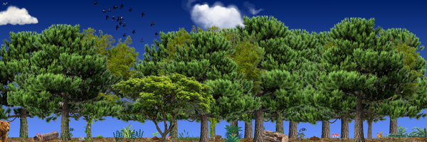 Busy image of a forest with many trees, logs, mushrooms, squirrels, plants, birds, clouds, and a bear